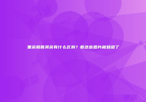 黑茶和普洱茶有什么区别？看这些图片就知道了