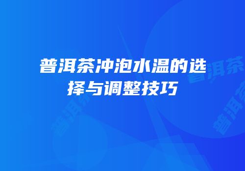 普洱茶冲泡水温的选择与调整技巧