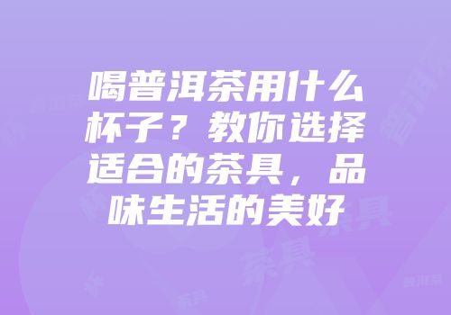 喝普洱茶用什么杯子？教你选择适合的茶具，品味生活的美好