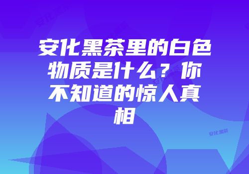 安化黑茶里的白色物质是什么？你不知道的惊人真相