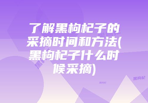 了解黑枸杞子的采摘时间和方法(黑枸杞子什么时候采摘)