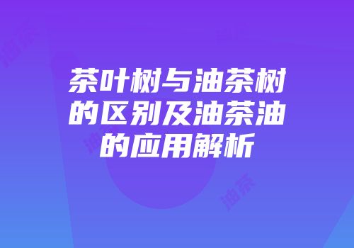 茶叶树与油茶树的区别及油茶油的应用解析