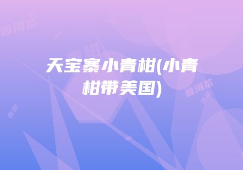 天宝寨小青柑(小青柑带美国)