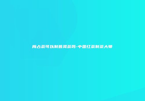梅占茶可以制普洱茶吗-中国红茶制茶大师