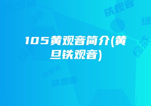 105黄观音简介(黄旦铁观音)