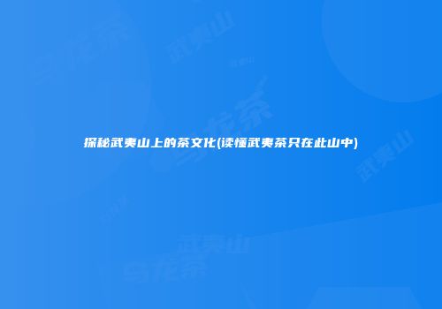 探秘武夷山上的茶文化(读懂武夷茶只在此山中)