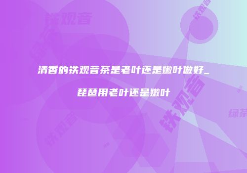 清香的铁观音茶是老叶还是嫩叶做好_琵琶用老叶还是嫩叶