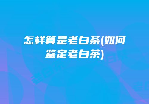 怎样算是老白茶(如何鉴定老白茶)