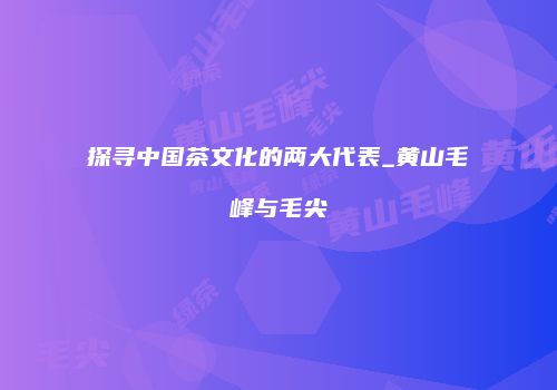 探寻中国茶文化的两大代表_黄山毛峰与毛尖