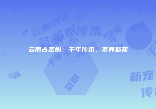 云南古茶树：千年传承，茶界新宠
