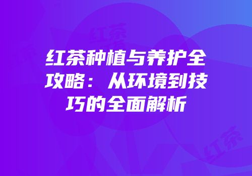 红茶种植与养护全攻略：从环境到技巧的全面解析