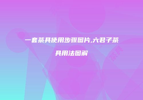 一套茶具使用步骤图片,六君子茶具用法图解