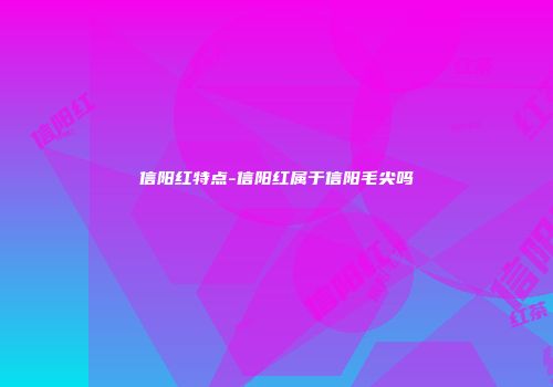 信阳红特点-信阳红属于信阳毛尖吗