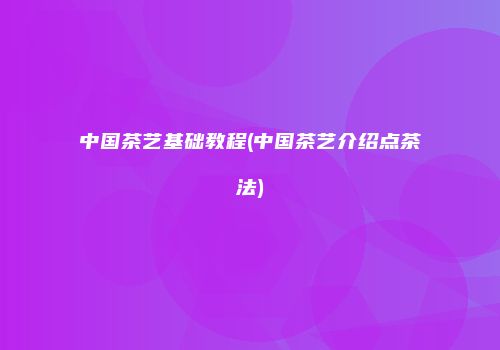 中国茶艺基础教程(中国茶艺介绍点茶法)