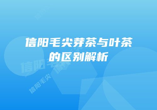 信阳毛尖芽茶与叶茶的区别解析