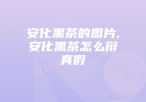 安化黑茶的图片,安化黑茶怎么辩真假