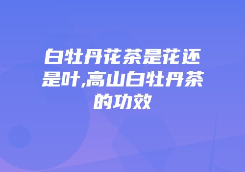 白牡丹花茶是花还是叶,高山白牡丹茶的功效