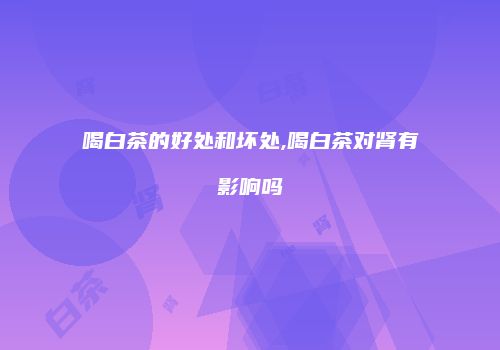 喝白茶的好处和坏处,喝白茶对肾有影响吗