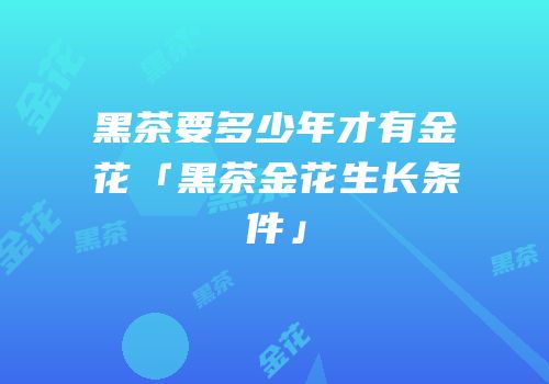 黑茶要多少年才有金花「黑茶金花生长条件」