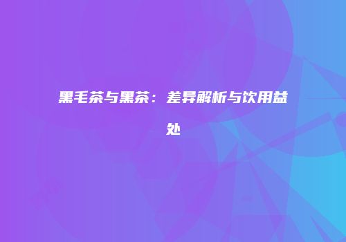 黑毛茶与黑茶：差异解析与饮用益处
