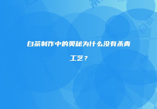 白茶制作中的奥秘为什么没有杀青工艺？