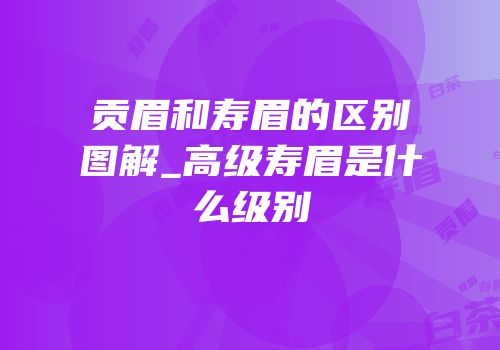 贡眉和寿眉的区别图解_高级寿眉是什么级别