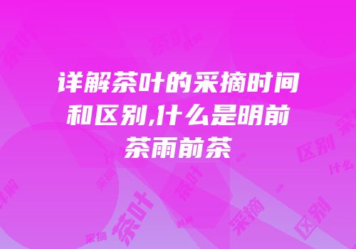 详解茶叶的采摘时间和区别,什么是明前茶雨前茶