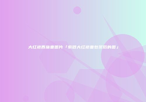 大红袍西施壶图片「紫砂大红袍壶包浆后的图」