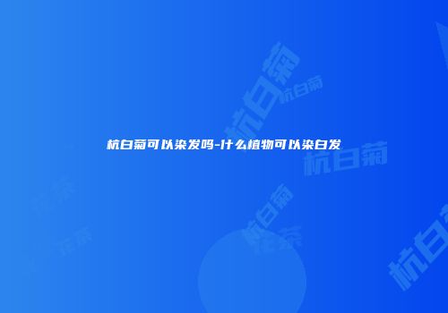 杭白菊可以染发吗-什么植物可以染白发