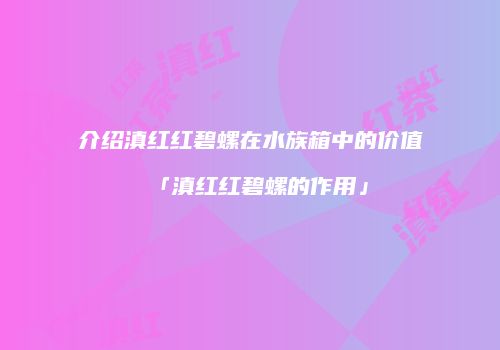 介绍滇红红碧螺在水族箱中的价值「滇红红碧螺的作用」