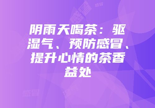 阴雨天喝茶：驱湿气、预防感冒、提升心情的茶香益处