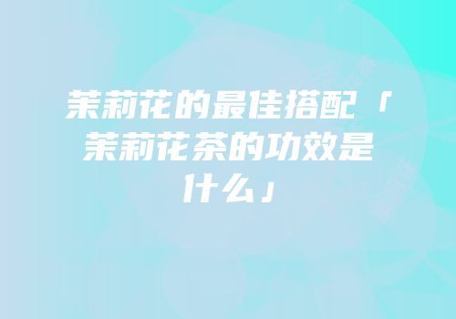 茉莉花的最佳搭配「茉莉花茶的功效是什么」