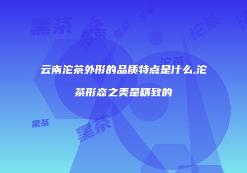 云南沱茶外形的品质特点是什么,沱茶形态之美是精致的