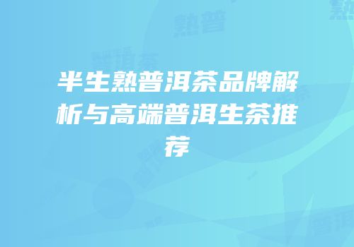 半生熟普洱茶品牌解析与高端普洱生茶推荐