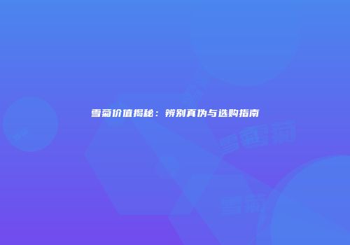 雪菊价值揭秘：辨别真伪与选购指南
