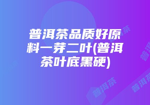 普洱茶品质好原料一芽二叶(普洱茶叶底黑硬)