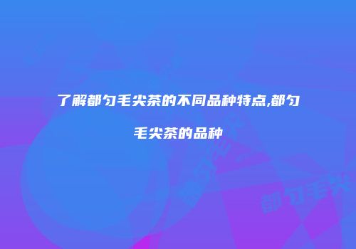 了解都匀毛尖茶的不同品种特点,都匀毛尖茶的品种