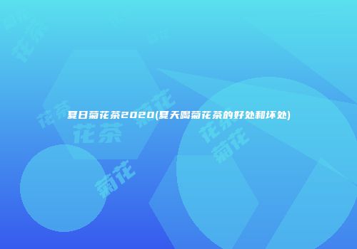 夏日菊花茶2020(夏天喝菊花茶的好处和坏处)