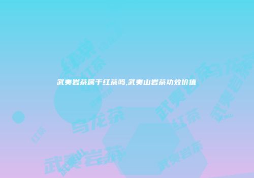 武夷岩茶属于红茶吗,武夷山岩茶功效价值
