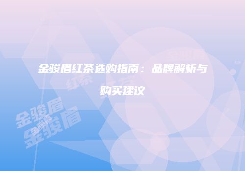 金骏眉红茶选购指南：品牌解析与购买建议