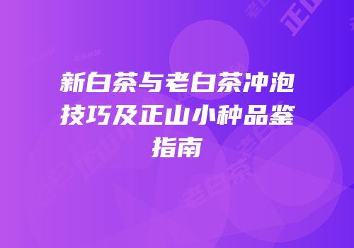 新白茶与老白茶冲泡技巧及正山小种品鉴指南