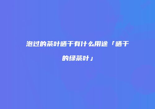 泡过的茶叶晒干有什么用途「晒干的绿茶叶」