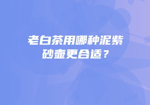 老白茶用哪种泥紫砂壶更合适？