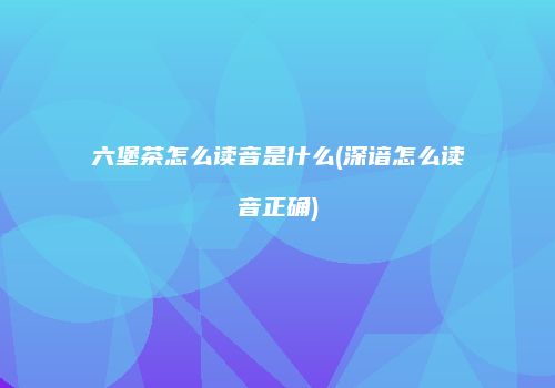 六堡茶怎么读音是什么(深谙怎么读音正确)