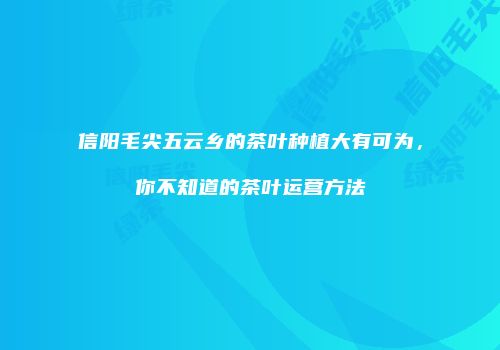 信阳毛尖五云乡的茶叶种植大有可为，你不知道的茶叶运营方法