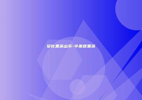 安化黑茶山东-华莱健黑茶