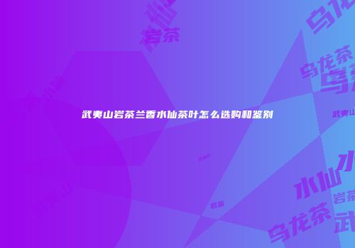 武夷山岩茶兰香水仙茶叶怎么选购和鉴别