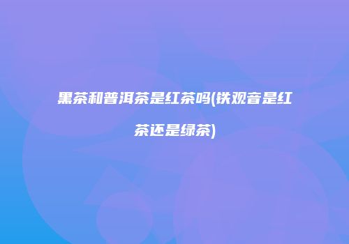 黑茶和普洱茶是红茶吗(铁观音是红茶还是绿茶)