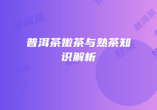 普洱茶嫩茶与熟茶知识解析