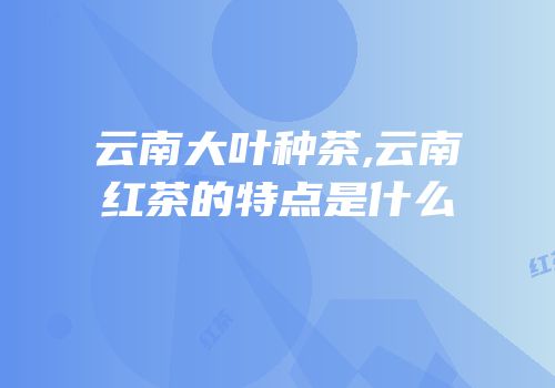 云南大叶种茶,云南红茶的特点是什么